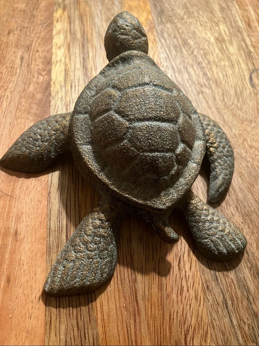 Sea turtle trinket holder
